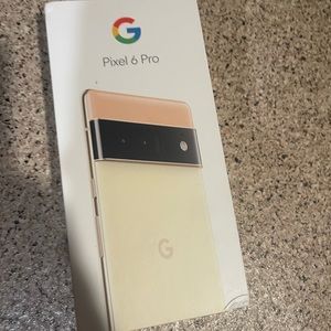 Google pro 6
